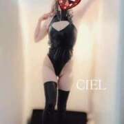 CIEL 【お礼写メ日記】 TALL
