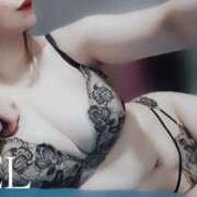 ヒメ日記 2026/03/09 12:39 投稿 CIEL TALL