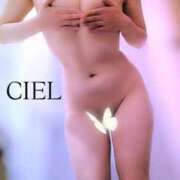 ヒメ日記 2026/04/19 11:10 投稿 CIEL TALL