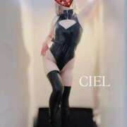 CIEL 💜より楽しめるのは TALL