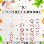 ヒメ日記 2025/09/23 16:47 投稿 ひまり先生 渋谷   大人の幼稚園