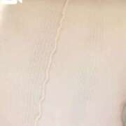 ヒメ日記 2025/12/05 09:17 投稿 ひまり先生 渋谷   大人の幼稚園