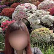 ヒメ日記 2025/04/22 20:53 投稿 ミント かぐや姫