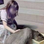 ヒメ日記 2025/05/26 16:43 投稿 ミント かぐや姫