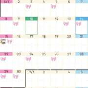 ヒメ日記 2025/06/10 01:50 投稿 ミント かぐや姫