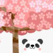 ヒメ日記 2024/12/10 23:22 投稿 桜(さくら) かぐや姫