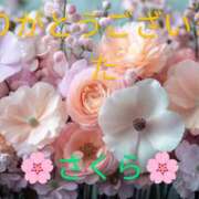 ヒメ日記 2025/01/10 23:57 投稿 桜(さくら) かぐや姫