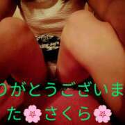 ヒメ日記 2025/01/25 19:24 投稿 桜(さくら) かぐや姫