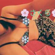 ヒメ日記 2025/02/03 23:39 投稿 桜(さくら) かぐや姫