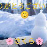 ヒメ日記 2025/02/08 01:50 投稿 桜(さくら) かぐや姫