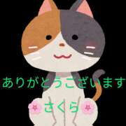 ヒメ日記 2025/02/22 00:33 投稿 桜(さくら) かぐや姫