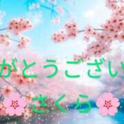 ヒメ日記 2025/03/21 13:45 投稿 桜(さくら) かぐや姫