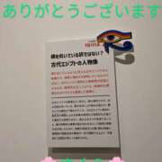 ヒメ日記 2025/04/04 17:53 投稿 桜(さくら) かぐや姫