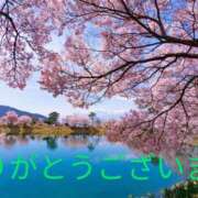 ヒメ日記 2025/04/07 23:48 投稿 桜(さくら) かぐや姫