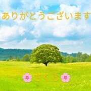 ヒメ日記 2025/04/18 00:45 投稿 桜(さくら) かぐや姫