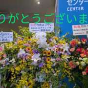 ヒメ日記 2025/06/19 01:41 投稿 桜(さくら) かぐや姫