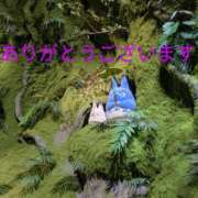 ヒメ日記 2025/07/10 00:34 投稿 桜(さくら) かぐや姫