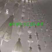 ヒメ日記 2025/09/15 04:21 投稿 桜(さくら) かぐや姫