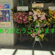 ヒメ日記 2025/11/04 11:50 投稿 桜(さくら) かぐや姫