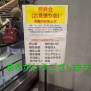 ヒメ日記 2025/11/18 03:16 投稿 桜(さくら) かぐや姫