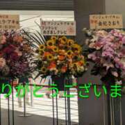 ヒメ日記 2025/11/23 03:07 投稿 桜(さくら) かぐや姫