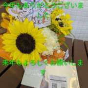 桜(さくら) 今年もお世話になりました😆 かぐや姫