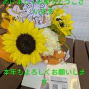 ヒメ日記 2026/01/13 12:43 投稿 桜(さくら) かぐや姫