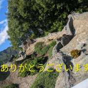 ヒメ日記 2026/02/12 01:21 投稿 桜(さくら) かぐや姫