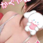 ヒメ日記 2025/03/01 09:03 投稿 桃 かぐや姫