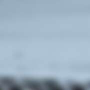 ヒメ日記 2026/02/08 07:22 投稿 桃 かぐや姫