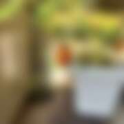 ヒメ日記 2025/08/19 09:40 投稿 菊池 かぐや姫