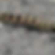 ヒメ日記 2025/09/06 11:49 投稿 菊池 かぐや姫