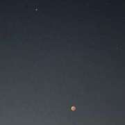 ヒメ日記 2025/09/08 03:56 投稿 菊池 かぐや姫