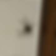 ヒメ日記 2025/09/25 09:55 投稿 菊池 かぐや姫