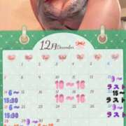 ヒメ日記 2025/12/09 06:18 投稿 菊池 かぐや姫