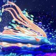 ヒメ日記 2026/03/30 13:21 投稿 菊池 かぐや姫