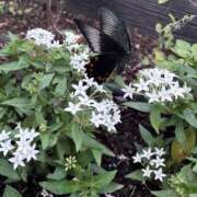 ヒメ日記 2026/10/02 10:26 投稿 菊池 かぐや姫