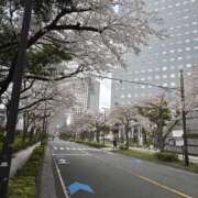 ヒメ日記 2025/04/05 08:41 投稿 唯 かぐや姫