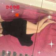 ヒメ日記 2025/05/29 09:10 投稿 唯 かぐや姫