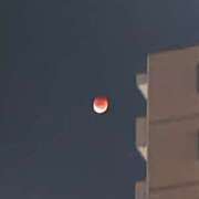 ヒメ日記 2025/10/09 15:18 投稿 さやか モアグループ 土浦人妻花壇