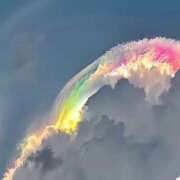 ヒメ日記 2025/11/22 15:03 投稿 さやか モアグループ 土浦人妻花壇