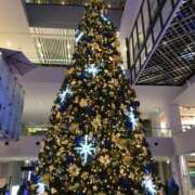 ヒメ日記 2025/12/24 10:52 投稿 なつみ セクシーキャット 小田原店