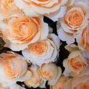 ヒメ日記 2025/04/09 08:51 投稿 りた 華美人