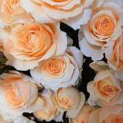 ヒメ日記 2026/01/22 16:09 投稿 りた 華美人