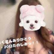 ヒメ日記 2025/03/17 22:37 投稿 うらら 三つ乱本館