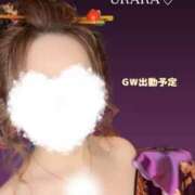 ヒメ日記 2025/04/30 15:20 投稿 うらら 三つ乱本館