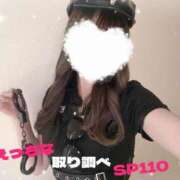 ヒメ日記 2025/05/19 17:17 投稿 うらら 三つ乱本館