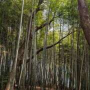 ヒメ日記 2025/09/09 14:06 投稿 さき クラブハウスシェル