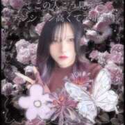 ろあ お礼でございますわー！！\??/ 横浜シンデレラ（シンデレラグループ）