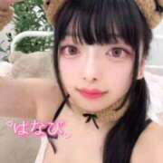 ヒメ日記 2025/11/25 00:14 投稿 はなび E+アイドルスクール新宿・歌舞伎町店